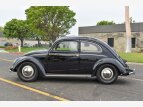 Thumbnail Photo 6 for 1951 Volkswagen Beetle